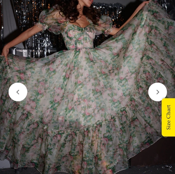 Selkie Ritz Dress - Picture 11 of 11